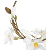 Ixia Venec Magnolia – | Shoptok.si