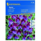KIEPENKERL Profi-Line Sjeme cvijeća Mirisna grahorica (Lathyrus odoratus, Plava, Crvena) | shoptok.hr