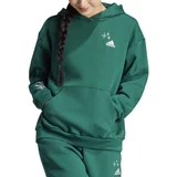 Adidas Dukserica za žene, boja: zelena, s kapuljačom, s aplikacijom
