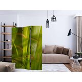  Paravan u 3 dijela - bamboo - nature zen [Room Dividers] 135x172 | shoptok.hr