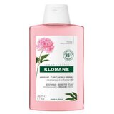 Klorane Šampon s božurom Cijene