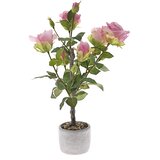 Diker HOME Veštačka ruža u keramičkoj saksiji 62 cm roze | Eponuda.com