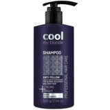 Chantal ljubičasti šampon za plavu kosu protiv žutila sa keratinom cool my blond 500ml Cene'.'