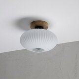  Plafonsko svetlo HARMA WOOD 1xE27/15W/230V hrast/bela prečnik 25 cm | Eponuda.com
