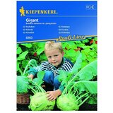 KIEPENKERL Sjeme povrća Koraba Gigant (Brassica oleracea var. gongylodes, Berba: Lipanj) | shoptok.hr
