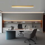  Brilagi - LED prigušiva stropna svetiljka SLEEKLINE LED/40W/230V Wi‑Fi Tuya zlatna + daljinski upravljač | Eponuda.com