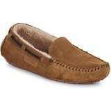 Shepherd STEFFO Smeđa | shoptok.hr