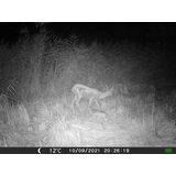 OXE Fotozamka Gepard II, lovački detektor i metalna kutija + 32GB SD karta i 6 kom baterija! | shoptok.hr