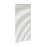 vidaXL Plisirana roleta svijetlosiva 60x150 cm širina tkanine 59,4 cm | shoptok.hr