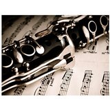  Tapeta - Clarinet and music notes 350x270 | shoptok.hr