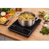 Blow induction cooker, single-burner, adjustable hob, 2000W, Slike