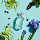 Tiffany & Co. Sheer toaletna voda za ženske 75 ml | Shoptok.si