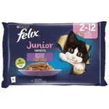 Junior Piletina 4 x 85 g