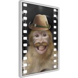  Poster - Dressed Up Monkey 30x45 | shoptok.hr