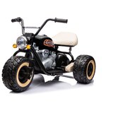 Motor na akumulator LL6688 24V - črn | Shoptok.si