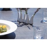 Acamp Vrtna Garnitura New Jersey, 5-Delni Set | Shoptok.si