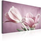  Slika - Romantic Tulips 120x80 Cijene