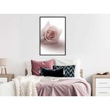  Poster - Subtle Flower 20x30 | shoptok.hr