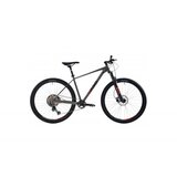 Capriolo mtb al-pha 97 29" sivo 922200-17 | ePonuda.com