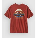 Patagonia Great Waves Responsibili- T-Shirt rusty red | shoptok.hr