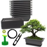  Komplet 10 loncev za bonsaje - 1 set. | Shoptok.si