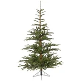 novogodišnja jelka Nobilis fir 300cm-208cm 68.9204