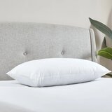 Catherine Lansfield Punilo za jastuk s memorijskom pjenom 48x74 cm Luxury Multi Relax – | shoptok.hr