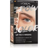 L'Oréal Paris Brow Color barva za obrvi odtenek 6.0 Light Brunette 1 kos