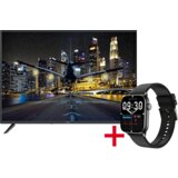 Vivax TV 43LE116T2S2 + Life Fit 3 Black cene