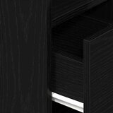 vidaXL Noćni ormarići 2 kom s ladicom crni 25x31x66 cm | shoptok.hr