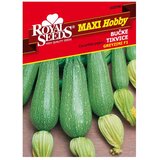 ROYAL SEEDS Sjeme povrća MAXI HOBBY 98 TIKVICA GREYZINI F1 | shoptok.hr
