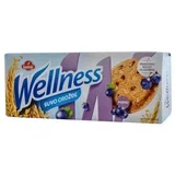 wellness integralni keks suvo grožđe 210g kutija