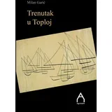 Milan Garić - Trenutak u Toploj