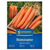 KIEPENKERL Zelenjavna semena Korenje Nominator F1 (Daucus carota subsp. sativus, Čas žetve: Junij) Cene