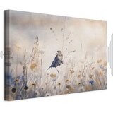  Slika - August Melody 90x60 Akustična | shoptok.hr