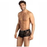 Boxer 591860 591853 591846 591877