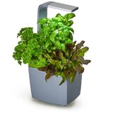 Tregren Pametni kuhinjski vrtiček T3 - siv, (21336504) | Shoptok.si