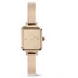 Daniel Wellington dw00100799 quadro mini Cene