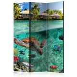 Artgeist Paravan Under The Water, 3-Delni, Dvostranski | Shoptok.si