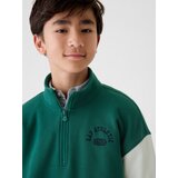 GAP Kid's Sweater - Boys Cene