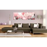  Slika - Pink Tulips 135x45 | shoptok.hr