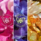 Guerlain Aqua Allegoria Rosa Rossa Forte poklon set limitirana serija za žene | shoptok.hr