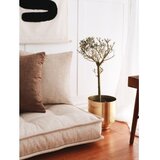 Atelier Del Sofa jastuče Naturel Yer | ePonuda.com