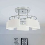  Stropna svjetiljka sa staklenim sjenilima za 5 žarulja E14 200 W | shoptok.hr