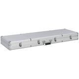 vidaXL Kutija za oružje srebrna 118 x 38 x 12 cm aluminijska Cijene