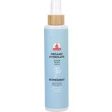  Hidrosol poprove mete - 200 ml | Shoptok.si