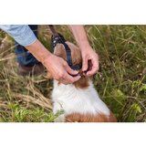 Trixie Silikonska korpa za pse Muzzle Flex - 36 cm | ePonuda.com