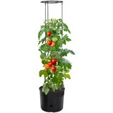 vidaXL Lonec za gojenje paradižnika Ø39x150 cm polipropilen | Shoptok.si