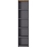 Germania Antracitno siva knjižna omara v hrastovem dekorju 45x197 cm Agenda - Germania Cene