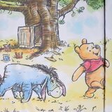 Disney PREVIJALNA PODLOGA Winnie the Pooh 85/72 cm | Shoptok.si